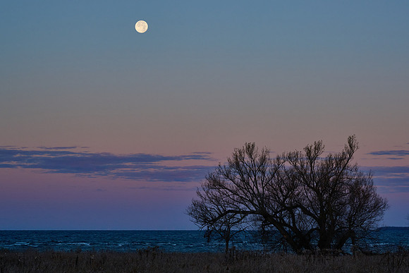 Pt Peninsula, Moonset, 2024-11-16