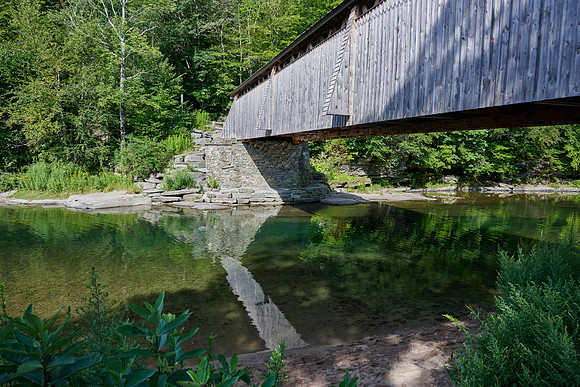 At Beaverkill Campground, 2021-08-16 (Z7)