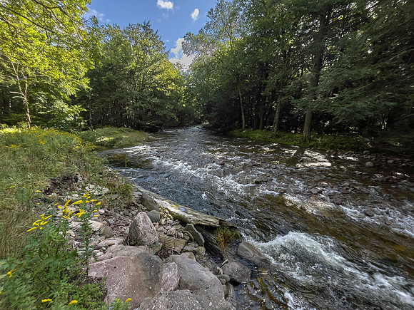 East Branch of Neversink River, 2021-09-10