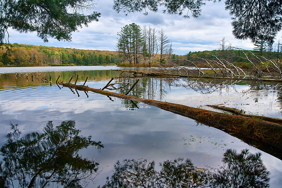 Stoney Pond SP (10/20/2018)