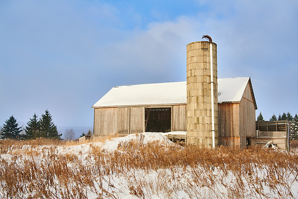 Amish Farm, Georgetown (11/22/2018)