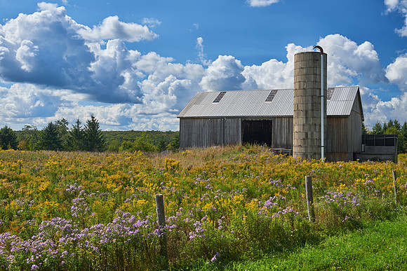 Amish Farm, Georgetown (9/16/2018)