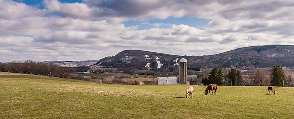 Last Snow on Mystic Mt, 4/5/2009