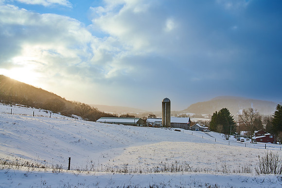 Neighbor's Farm, 11/22/2018