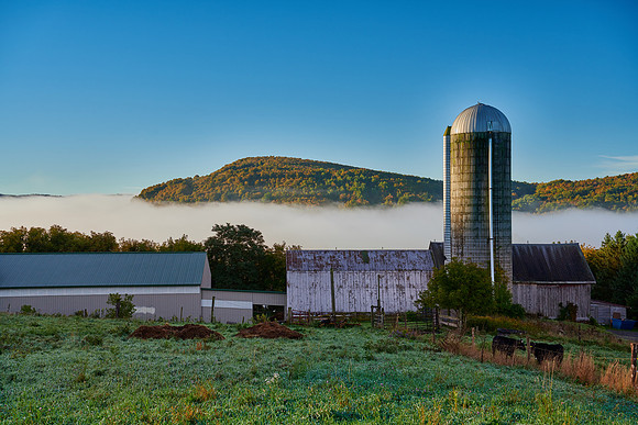 Neighbor's Farm, 10/05/2018