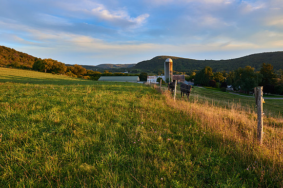 Neighbor's Farm, 9/23/2018