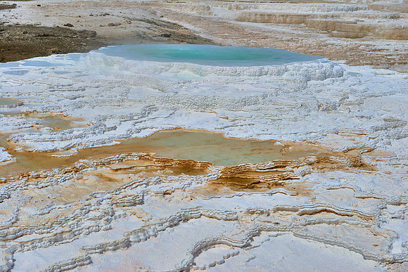 Mammoth Hot Springs, Yellowstone National Park