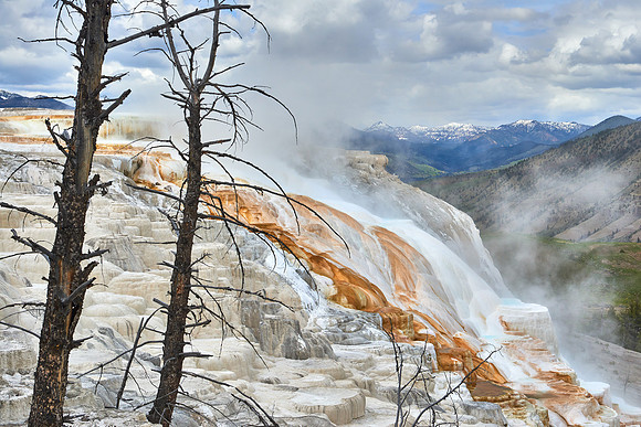 Mammoth Hot Springs, Yellowstone National Park