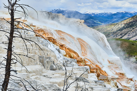Mammoth Hot Springs, Yellowstone National Park
