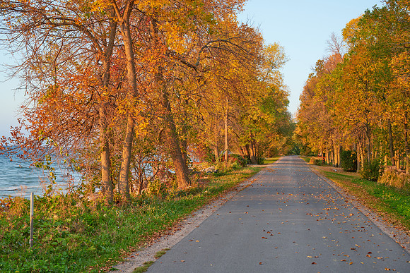 Along the Shore Road