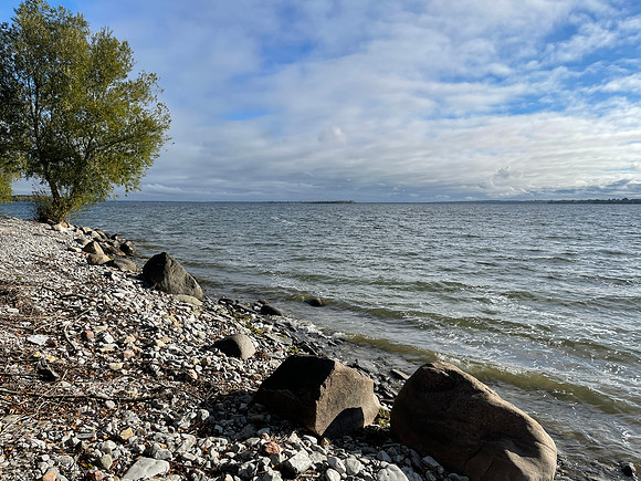 Point Peninsula Shore
