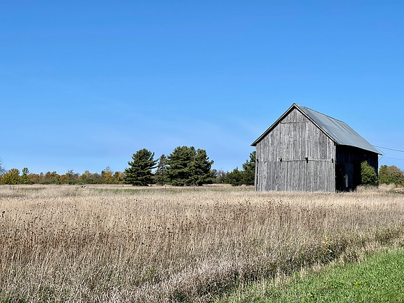 Point Peninsula Farm Land