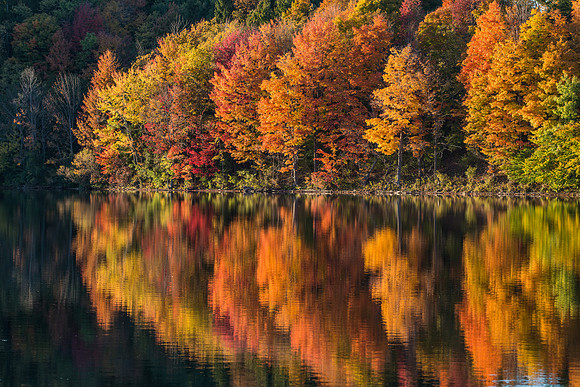 Eaton Brook 10/14/2016
