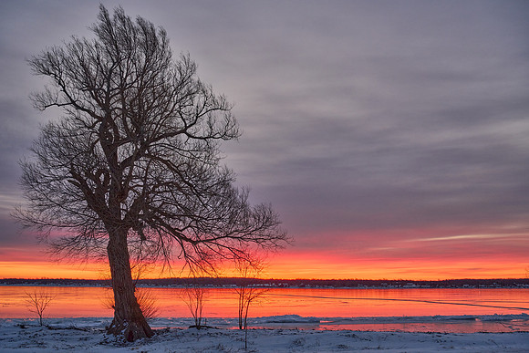 Sunrise over Point Peninsula, 2022-01-27