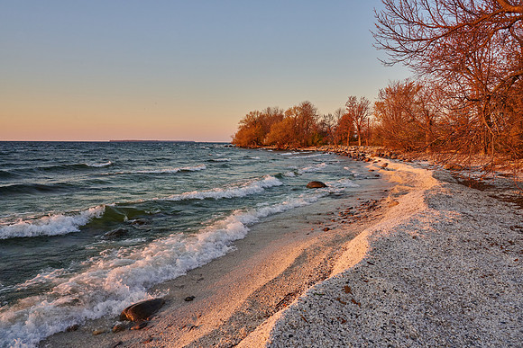 Beach of Zebra Mussels!