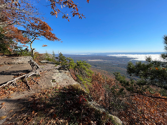 Artist's Rock, 2021-11-04