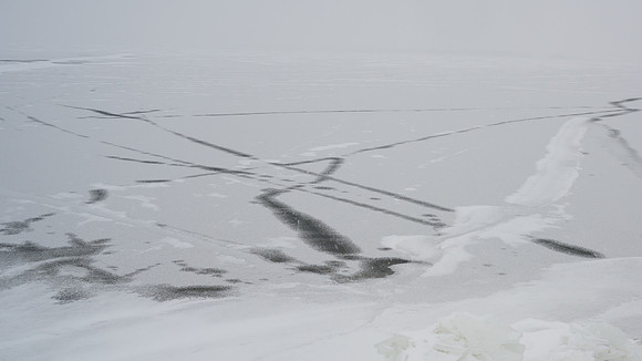Ice Abstract at Long Point, 2024-01-23