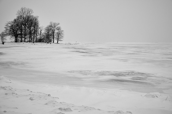 The Point at Long Point, 2024-01-23