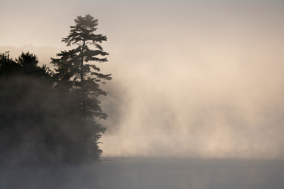 Limekiln Morning