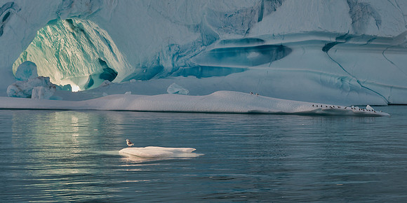 Scoresby Sound near Bear Islands, 2019-09-05