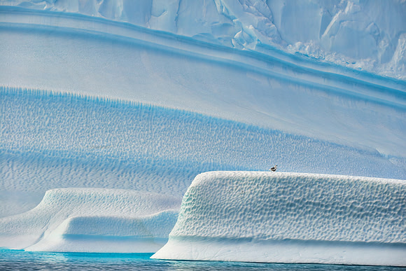 Scoresby Sound near Bear Islands, 2019-09-06