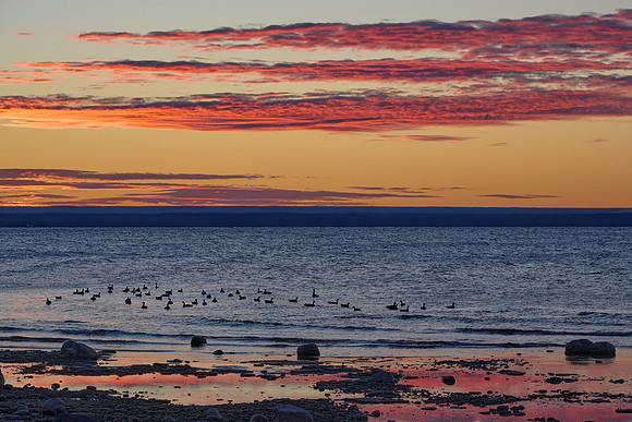 Pt Peninsula, Sunrise, 2024-11-16