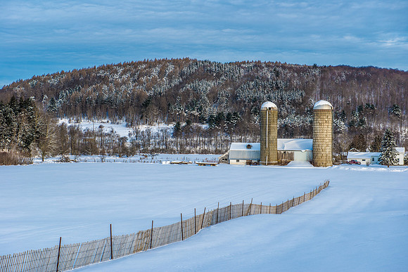 Snow Fence