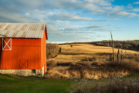 Neighbor's Barn, 11/14/2012