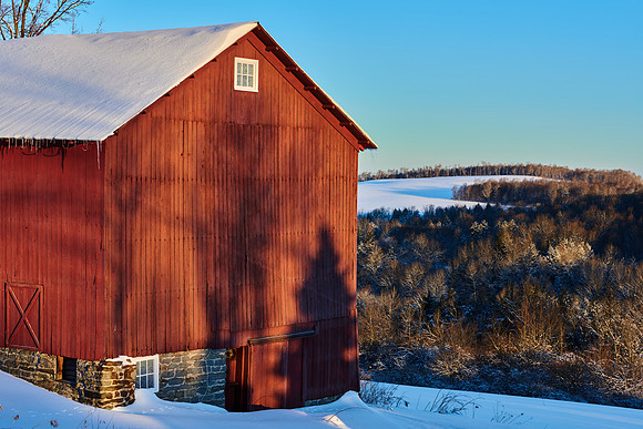 Neighbor's Barn, Winter 2020