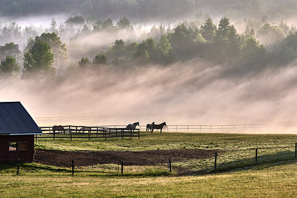 Trinity Glen Morning, 6/29/2020