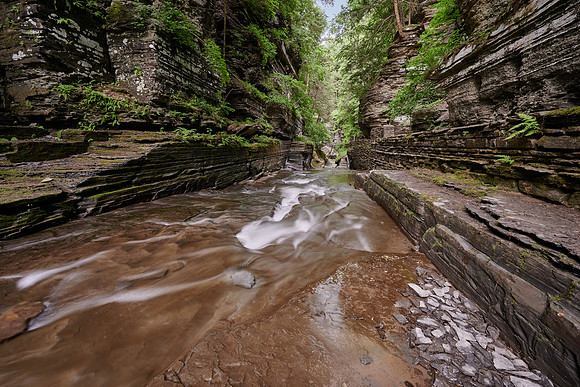 Robert Treman SP, Ithaca, 6/19/2020