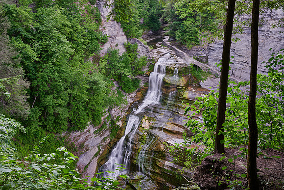 Robert Treman SP, Ithaca, 6/19/2020