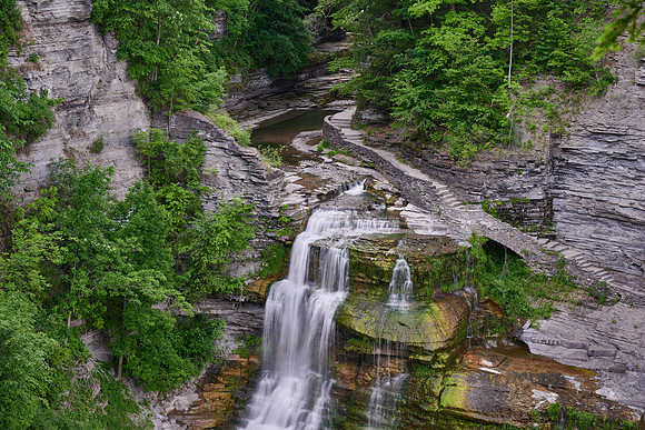 Robert Treman SP, Ithaca, 6/19/2020