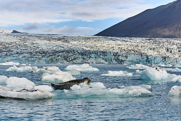 Jökulsárlón Glacier Lake & Vatnajökull NP, 2019-09-15