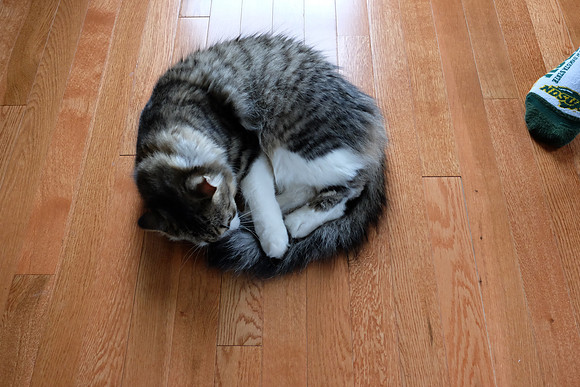 I get pillow-head when I sleep...