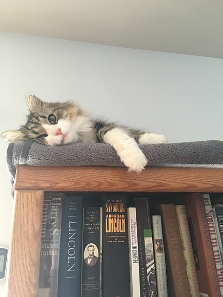 I'm done reading - time for a nap