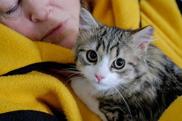 My first day in my forever home