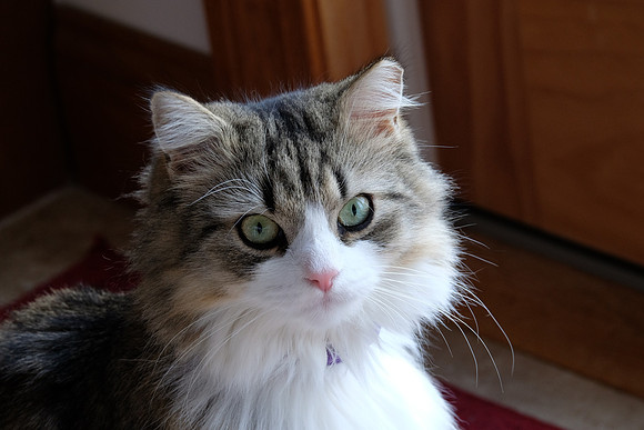 Pretty girl