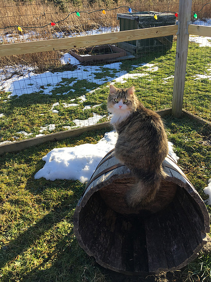 Fresh air after a long winter