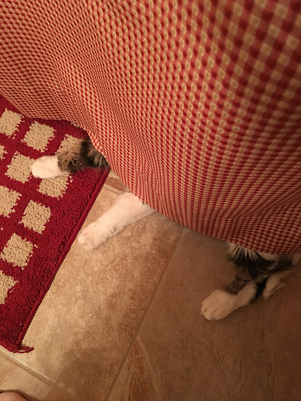 They'll never find me here