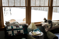 Ah... forget it... let's watch the birds now and talk later...