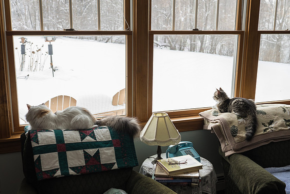 Ah... forget it... let's watch the birds now and talk later...