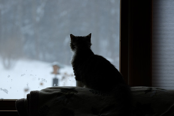 Silhouette