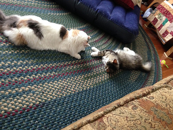 Careful Emmie......she's bigger!