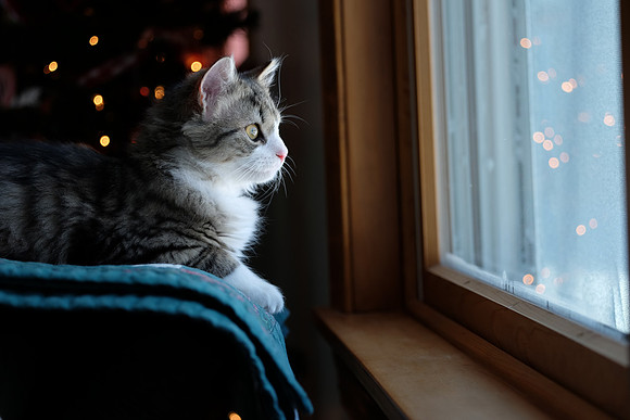 Somewhere, out there........