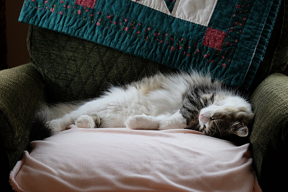 Now I'm really comfortable