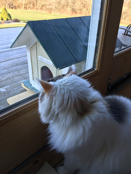 Looks warm, but it's cold out!