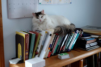 So many books to read.....