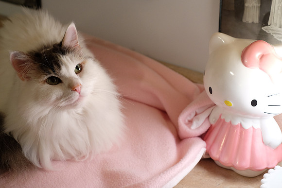 Hello Kitty meets Hello Kitty