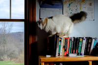 Balancing act